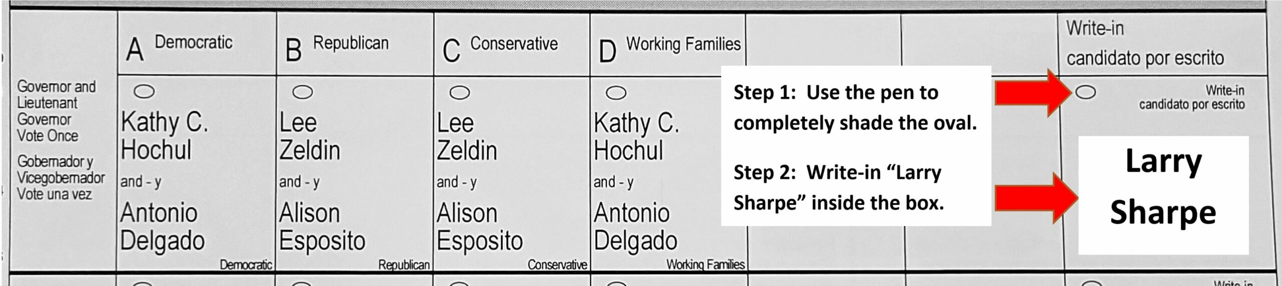 ballot write in instructions